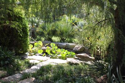 Zilker Botanical Gar